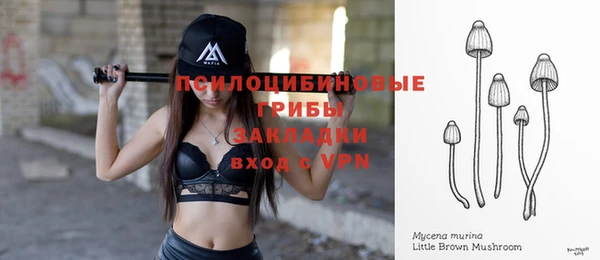 тгк Иннополис
