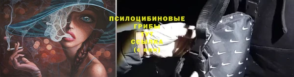 прущая мука Инта