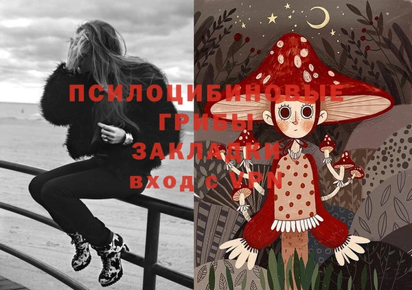 тгк Иннополис