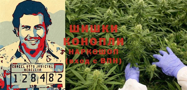 прущая мука Инта