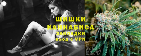 прущая мука Инта
